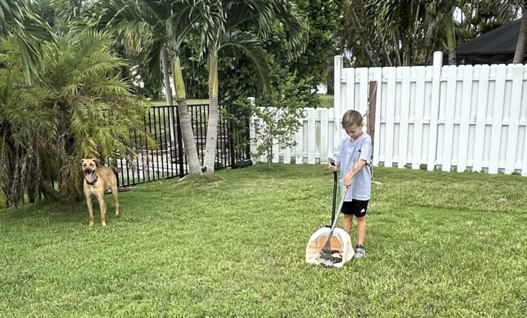 Luca scooping with dog